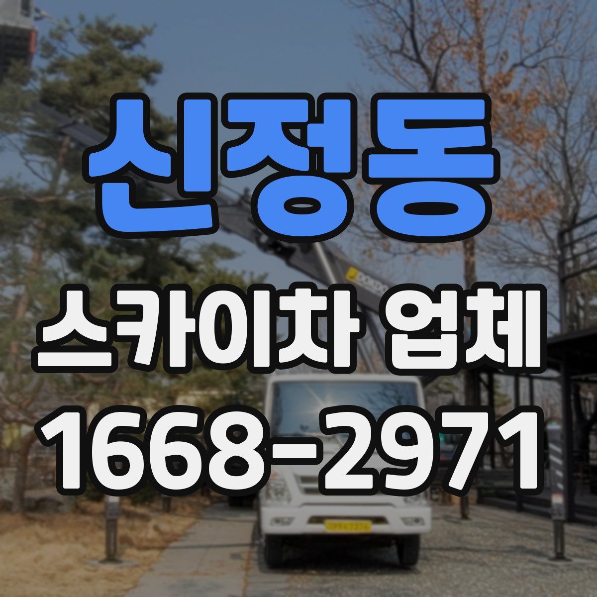 신정동 스카이차 업체