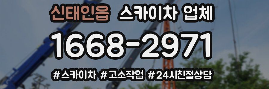 신태인읍 스카이차 업체