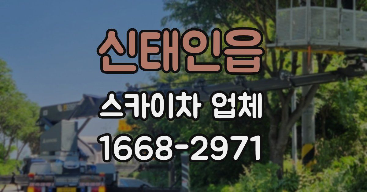 신태인읍 스카이차 업체