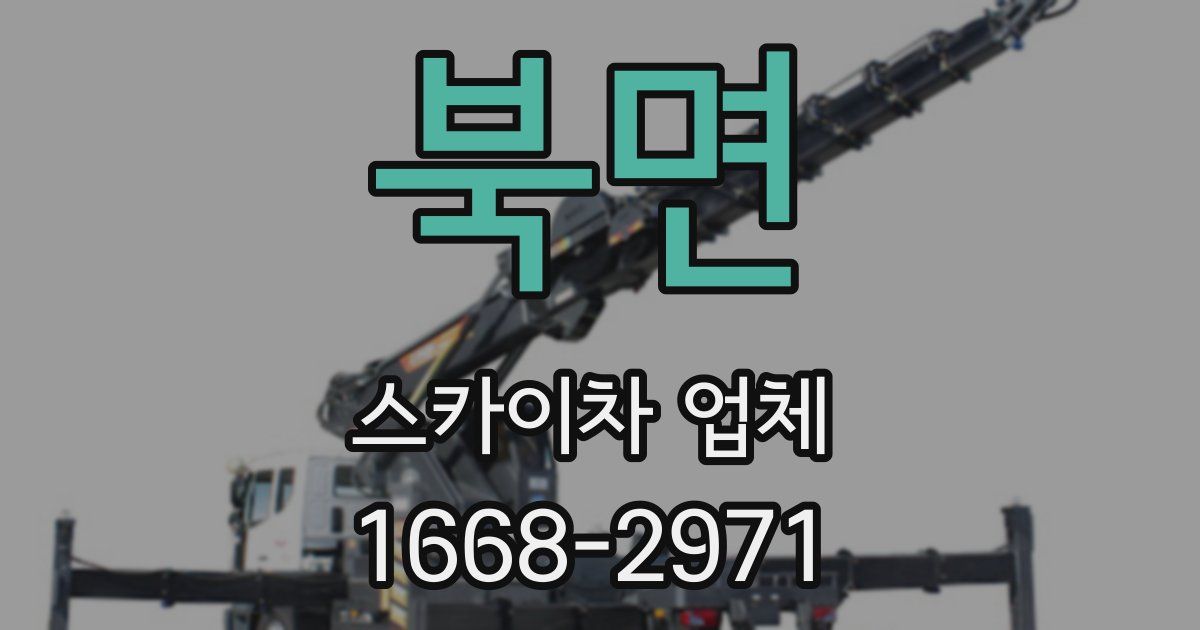 북면 스카이차 업체
