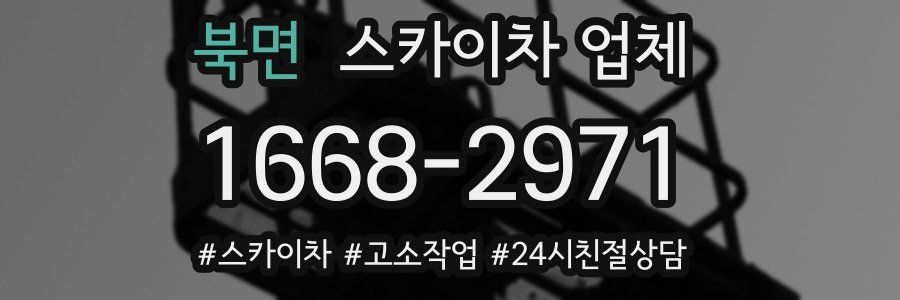 북면 스카이차 업체