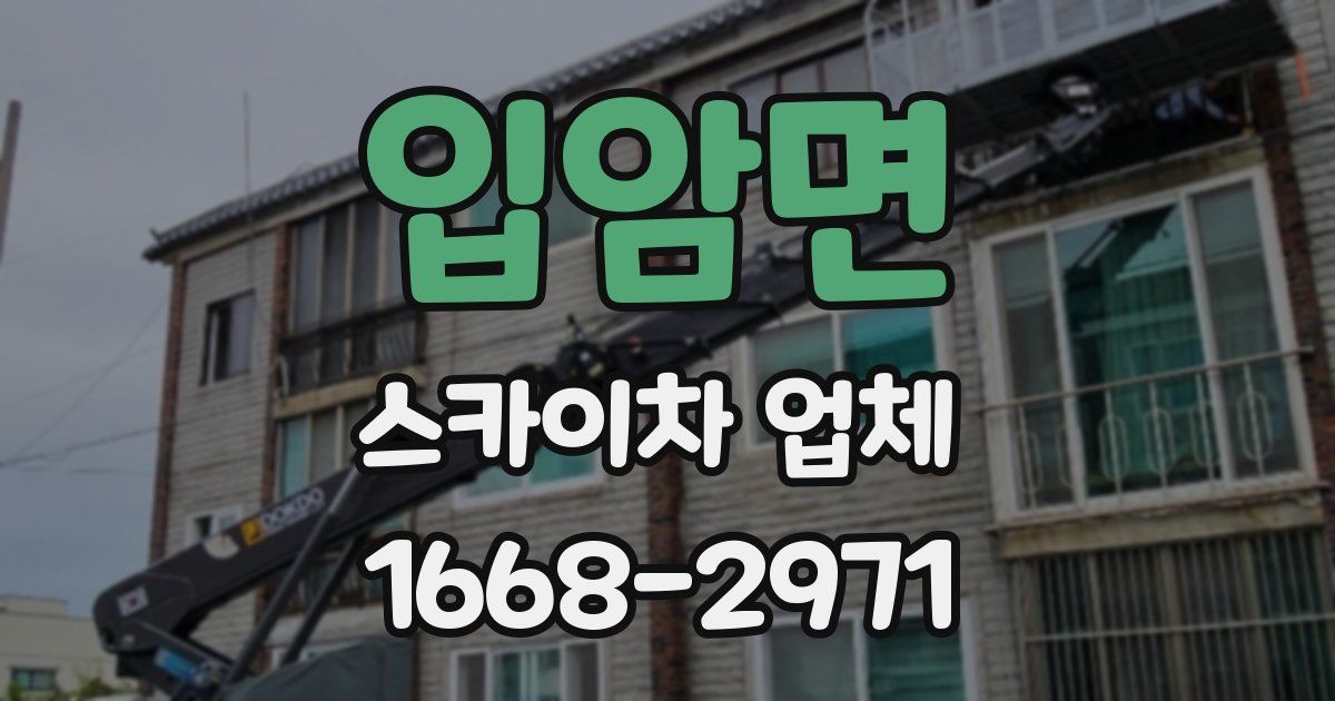 입암면 스카이차 업체