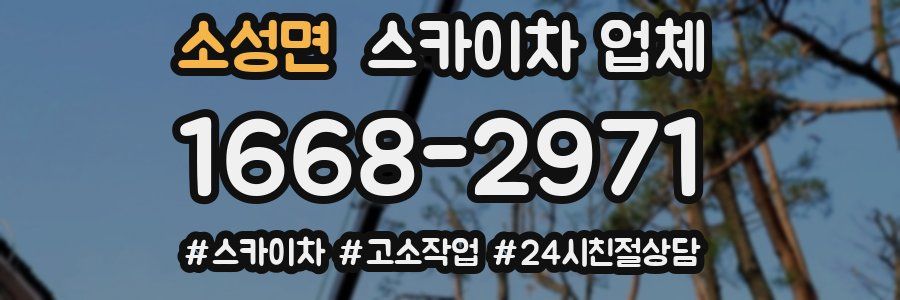소성면 스카이차 업체
