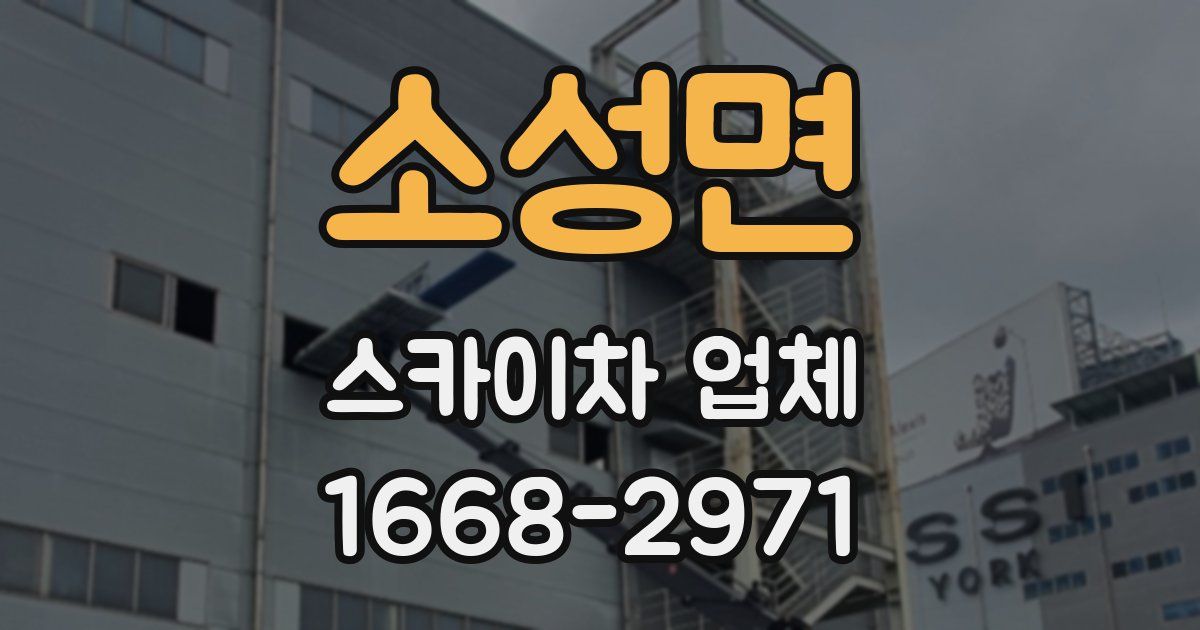 소성면 스카이차 업체