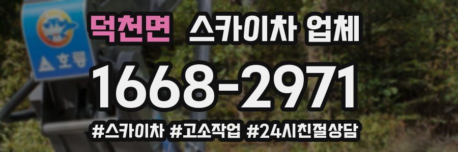 덕천면 스카이차 업체
