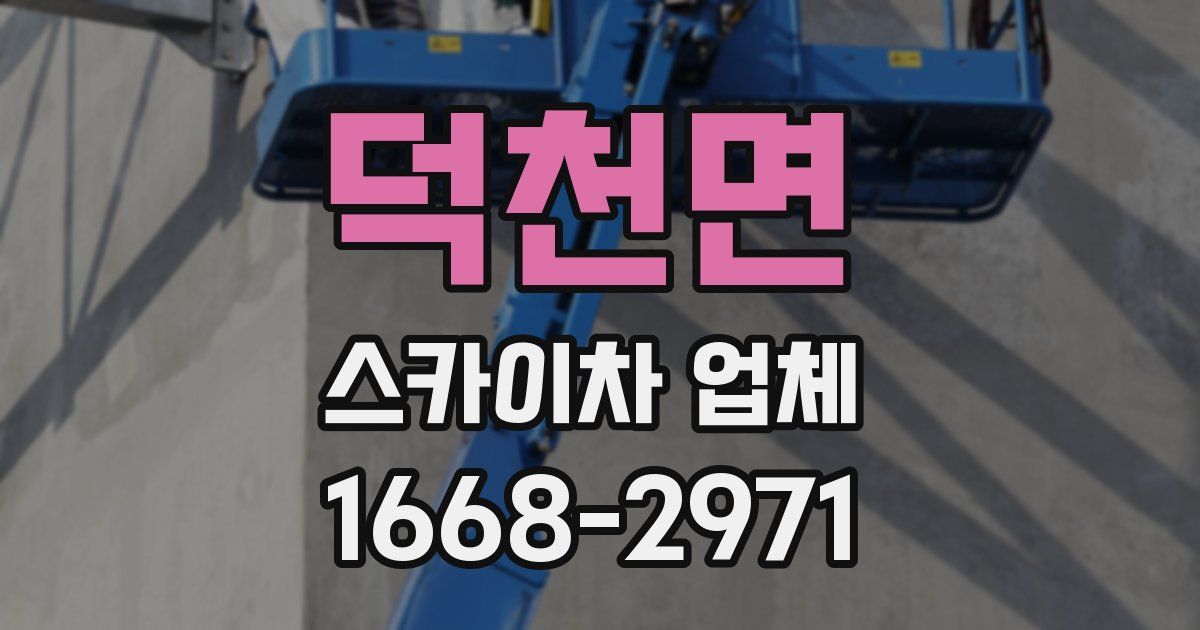 덕천면 스카이차 업체