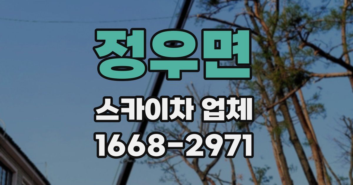 정우면 스카이차 업체