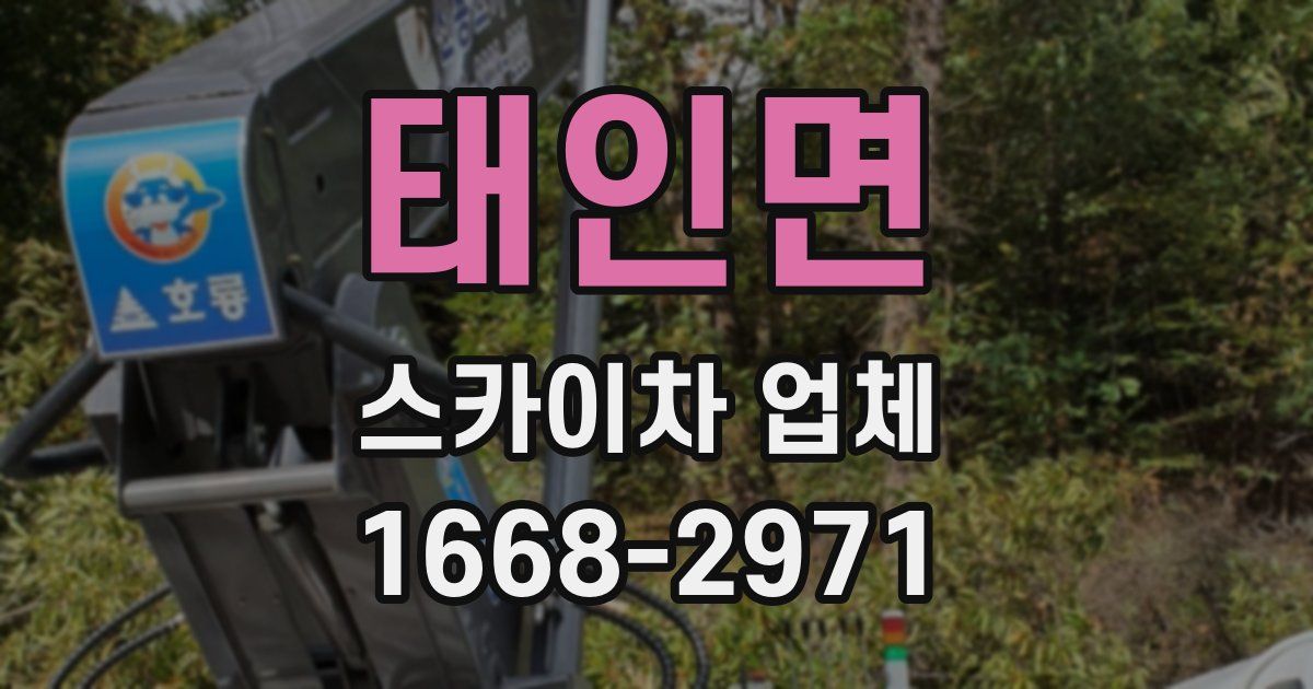 태인면 스카이차 업체