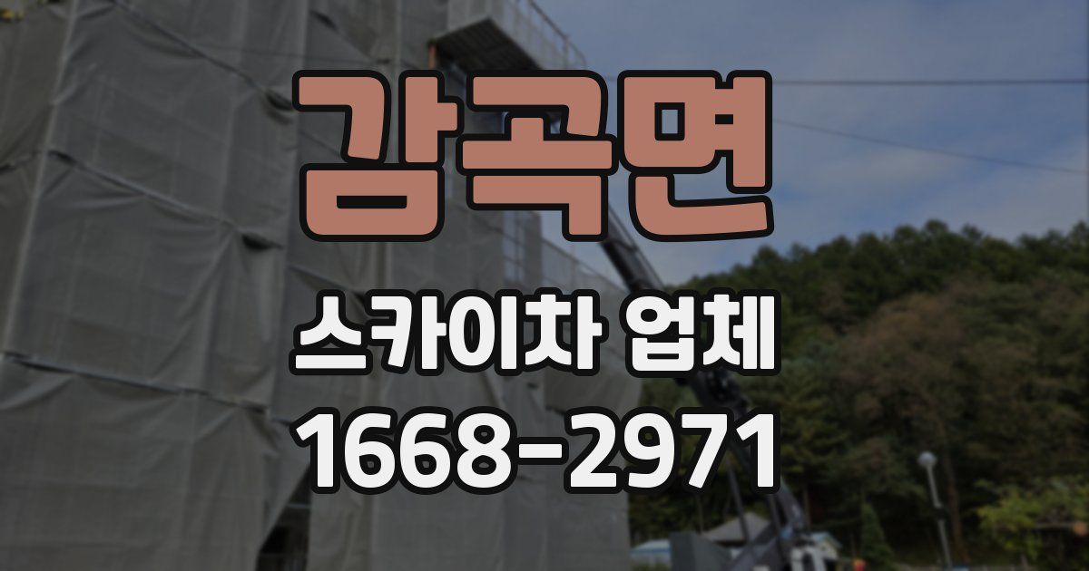 감곡면 스카이차 업체
