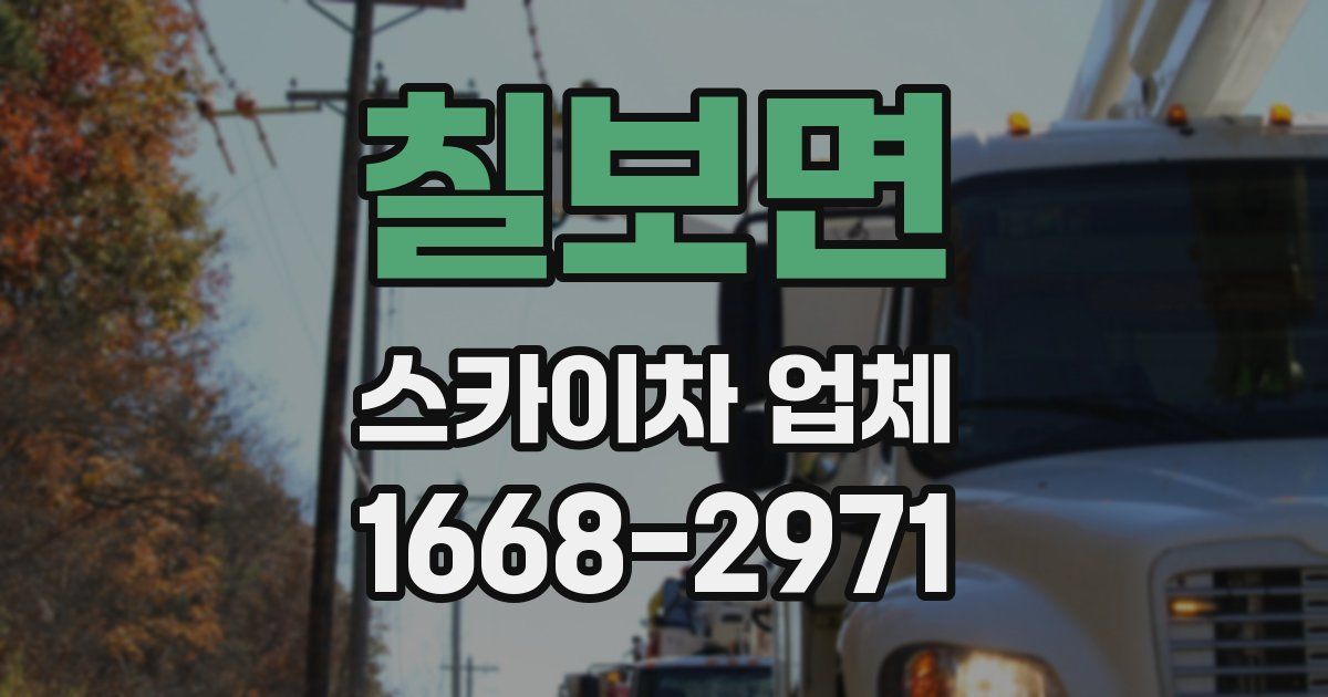 칠보면 스카이차 업체