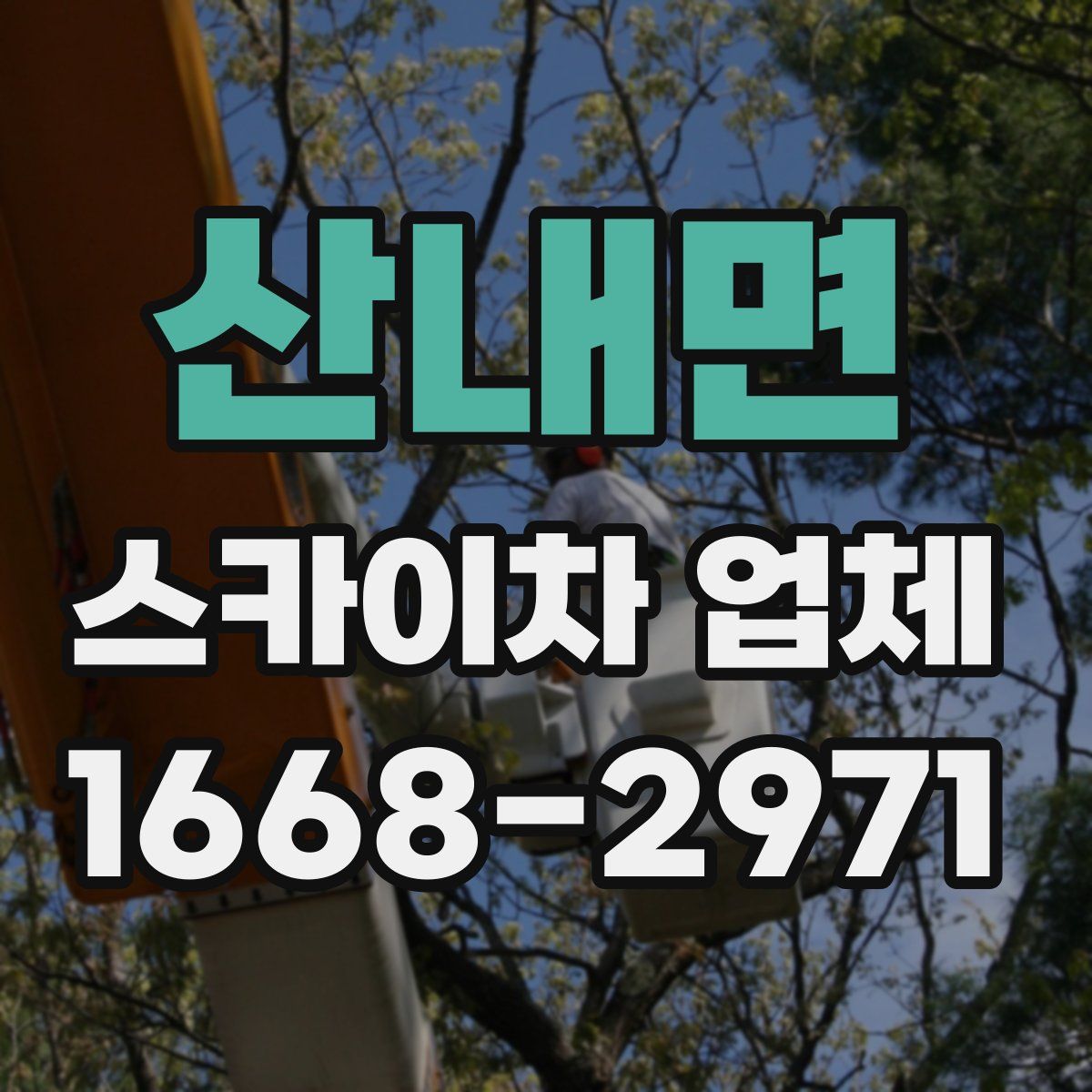 산내면 스카이차 업체