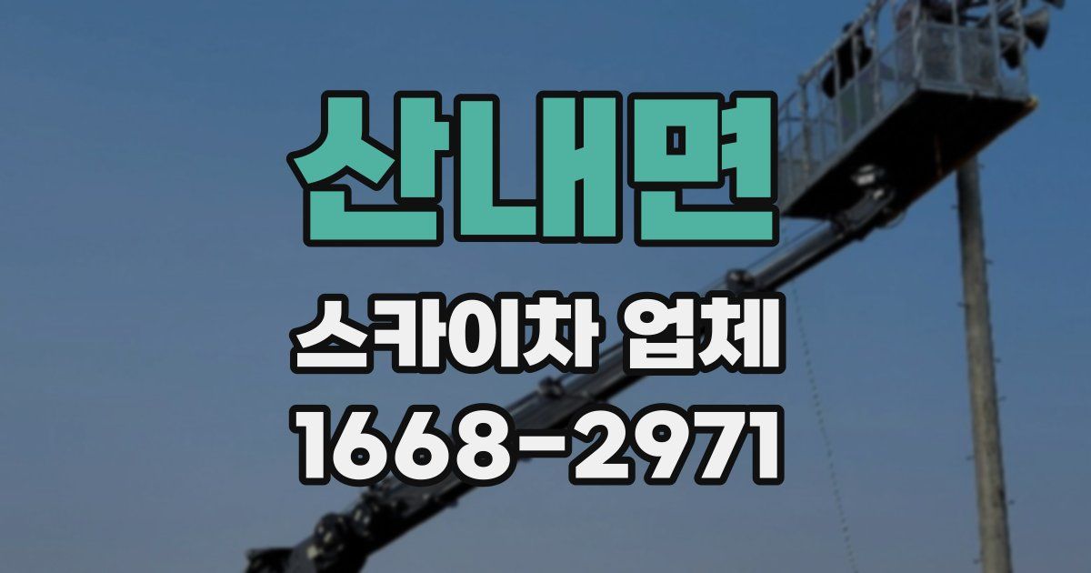 산내면 스카이차 업체