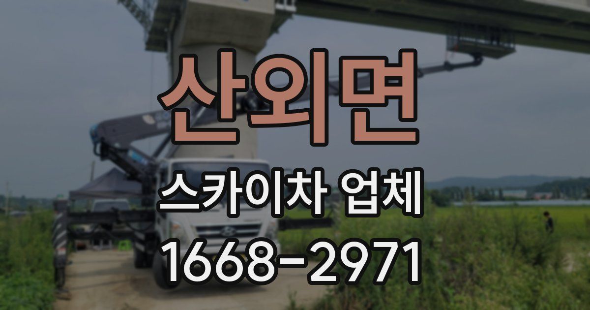 산외면 스카이차 업체