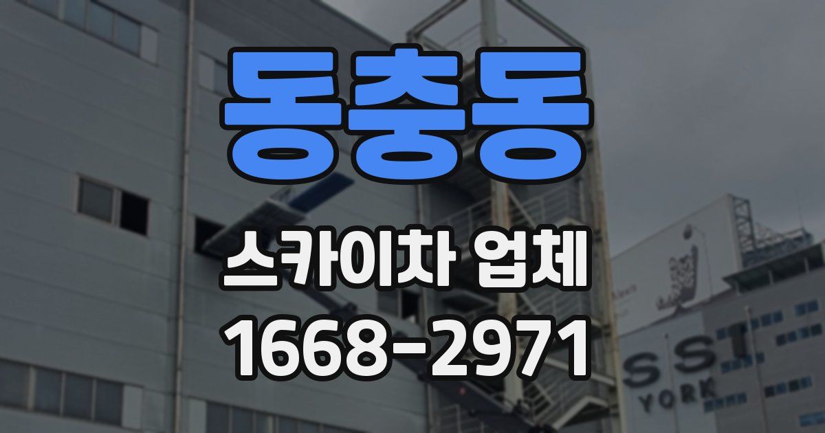 동충동 스카이차 업체