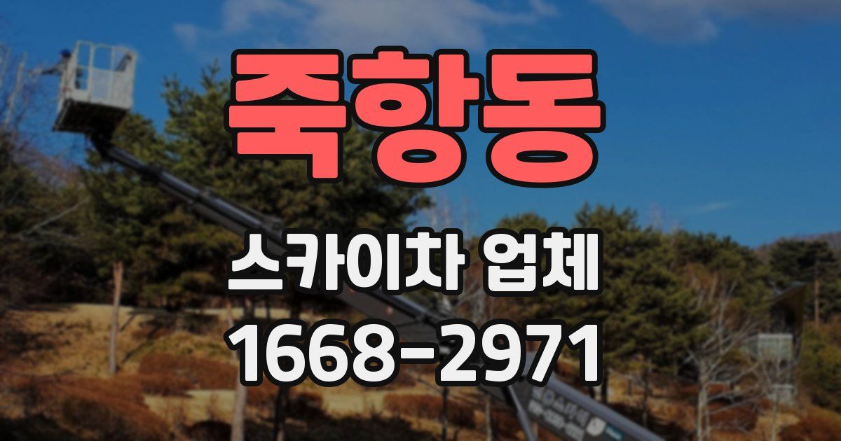 죽항동 스카이차 업체