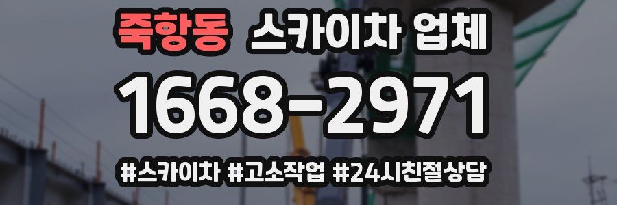 죽항동 스카이차 업체
