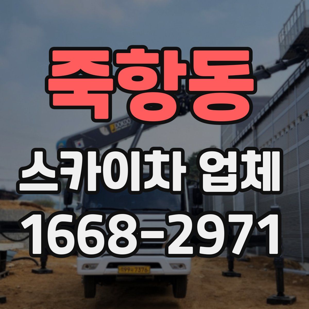 죽항동 스카이차 업체