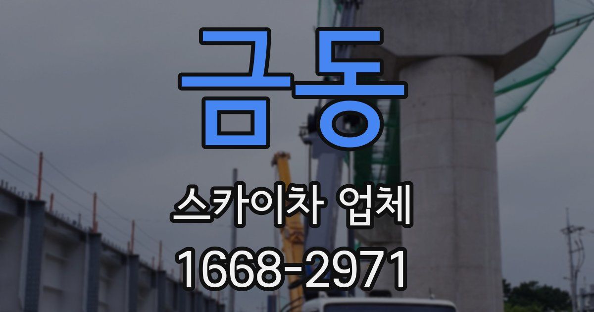 금동 스카이차 업체