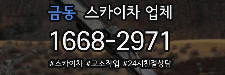 금동 스카이차 업체