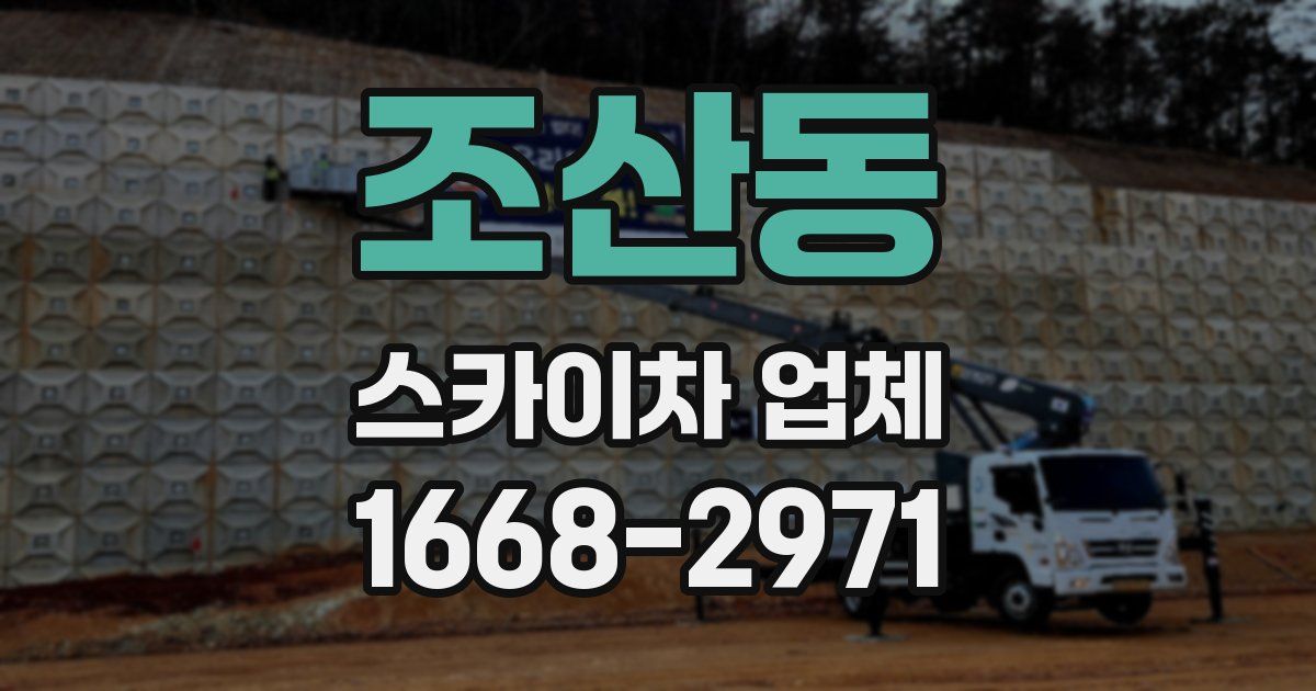 조산동 스카이차 업체