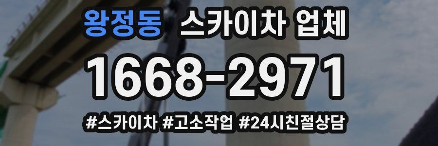 왕정동 스카이차 업체