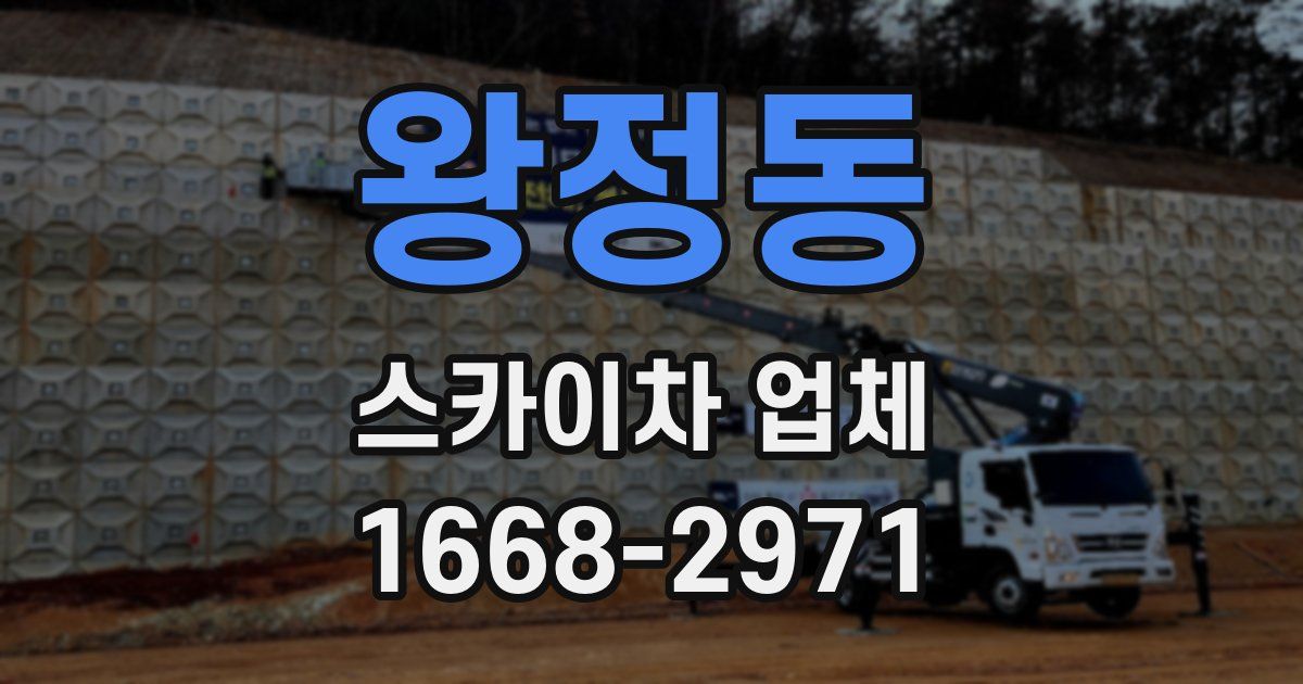 왕정동 스카이차 업체