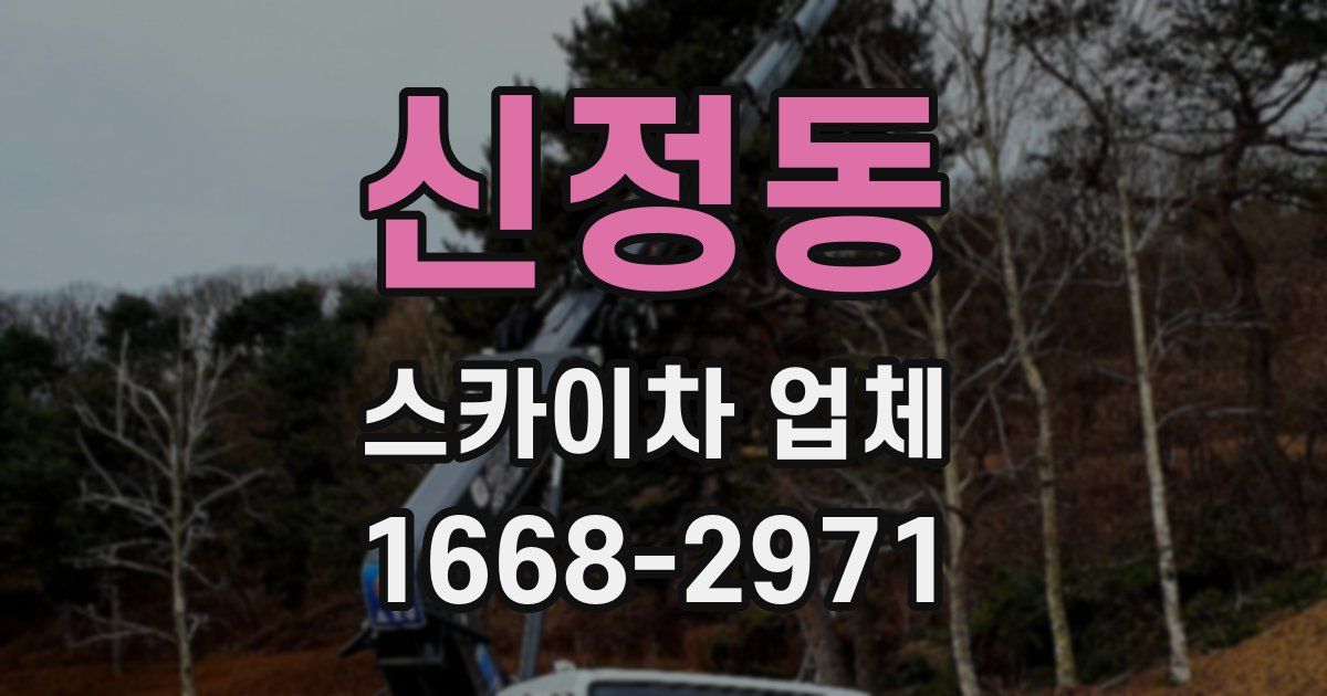 신정동 스카이차 업체