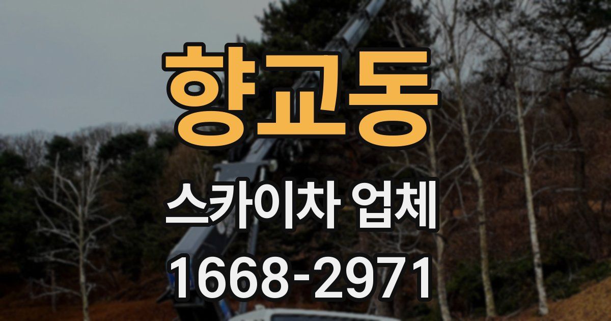 향교동 스카이차 업체