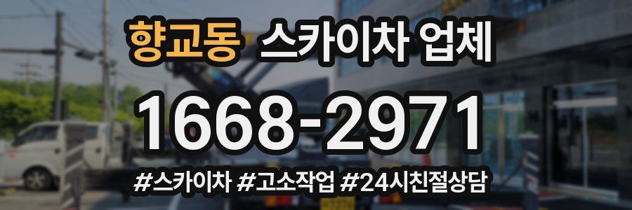 향교동 스카이차 업체