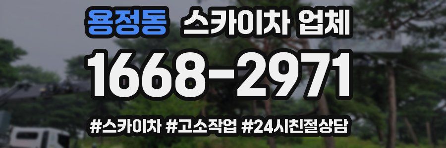 용정동 스카이차 업체