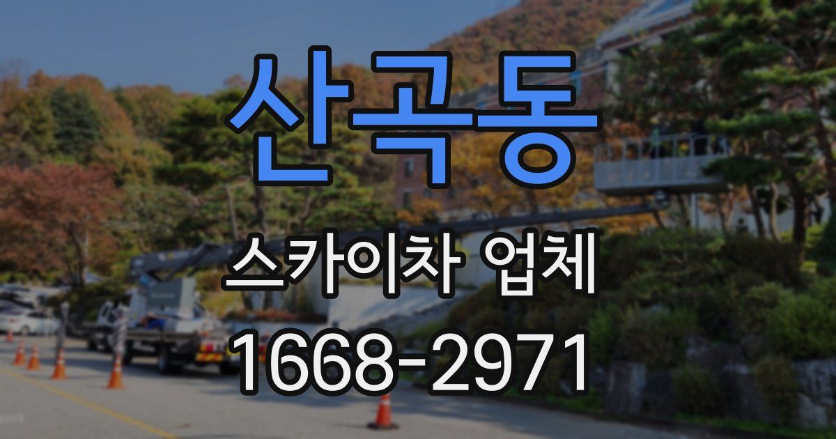 산곡동 스카이차 업체