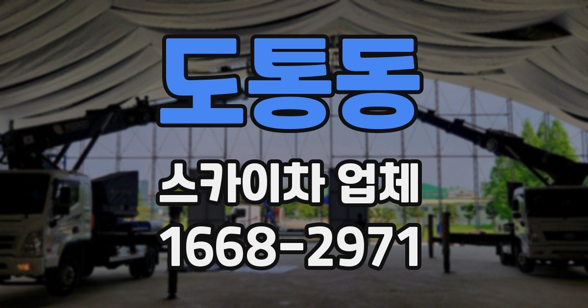 도통동 스카이차 업체