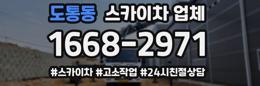 도통동 스카이차 업체