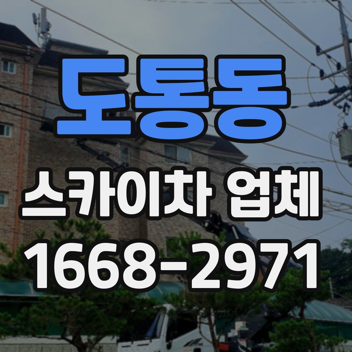 도통동 스카이차 업체