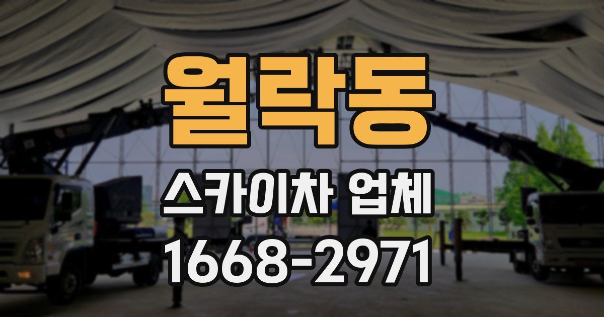 월락동 스카이차 업체
