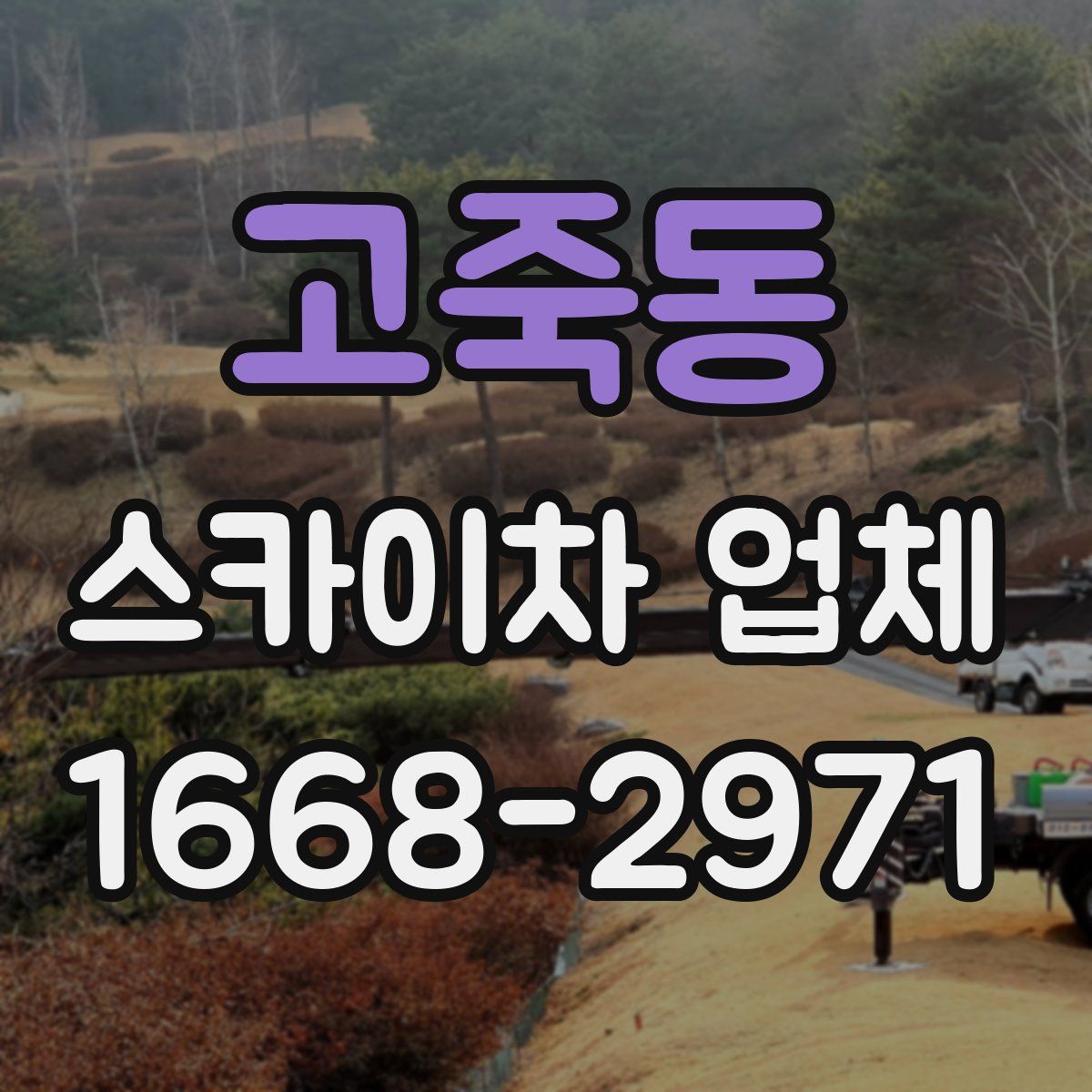 고죽동 스카이차 업체