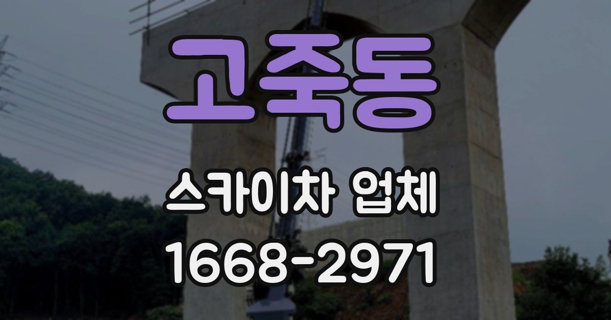 고죽동 스카이차 업체
