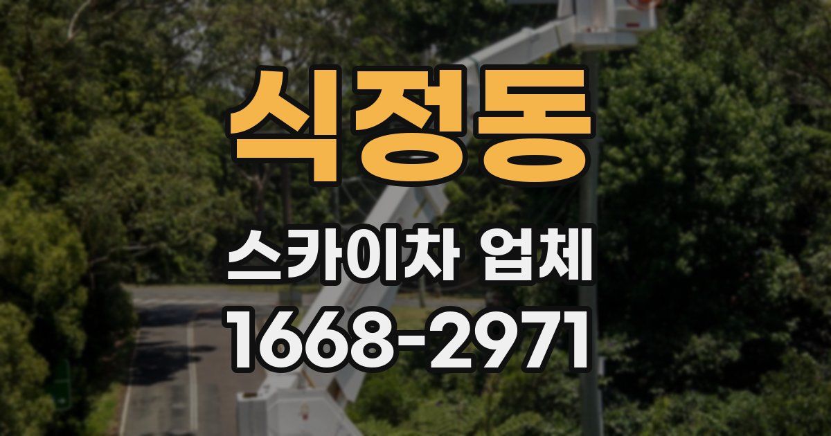 식정동 스카이차 업체
