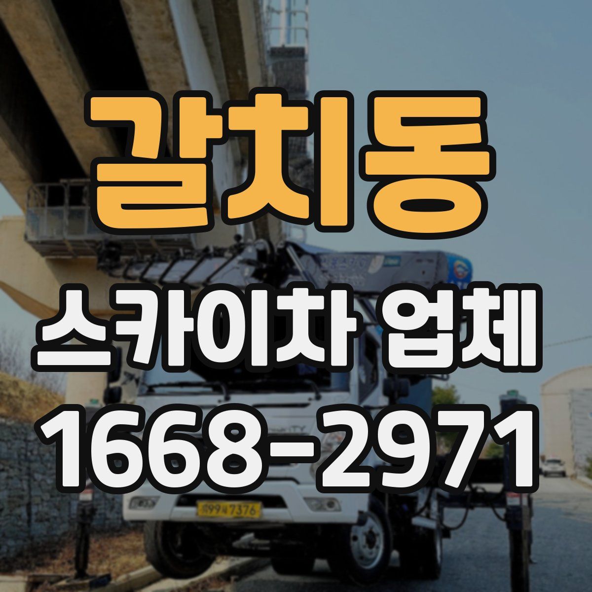 갈치동 스카이차 업체