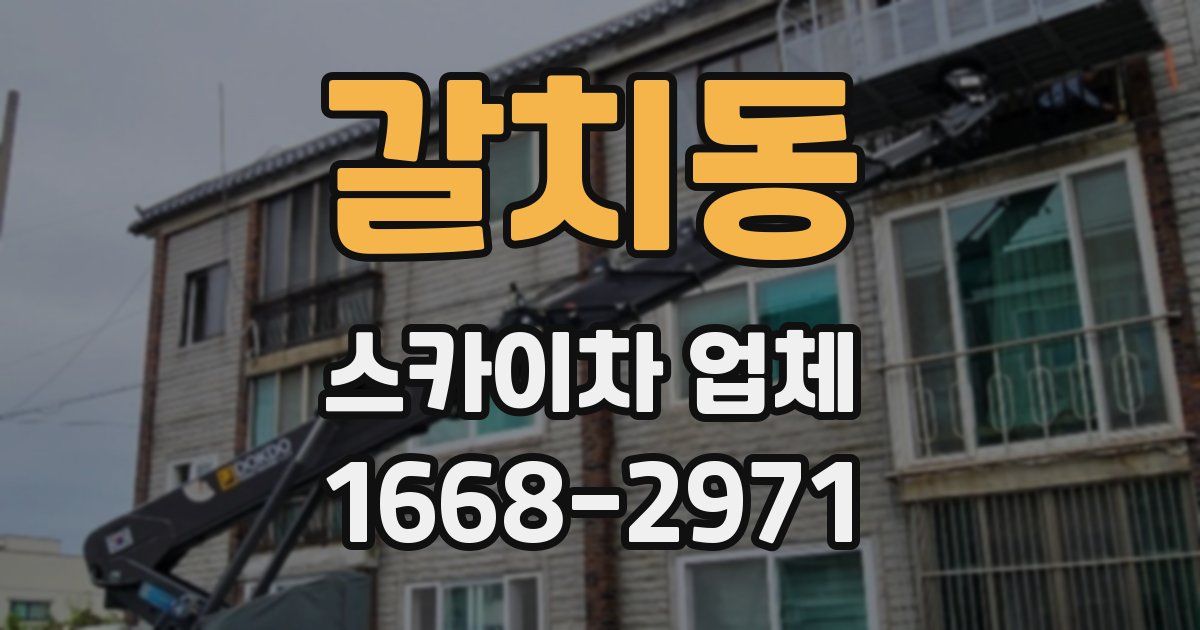 갈치동 스카이차 업체