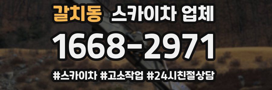 갈치동 스카이차 업체
