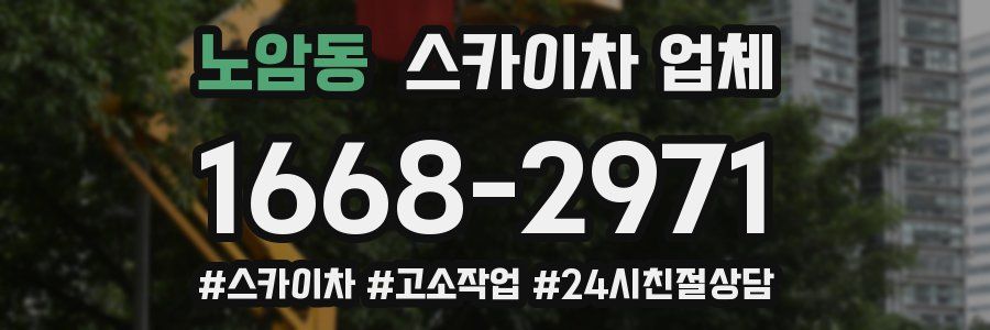 노암동 스카이차 업체