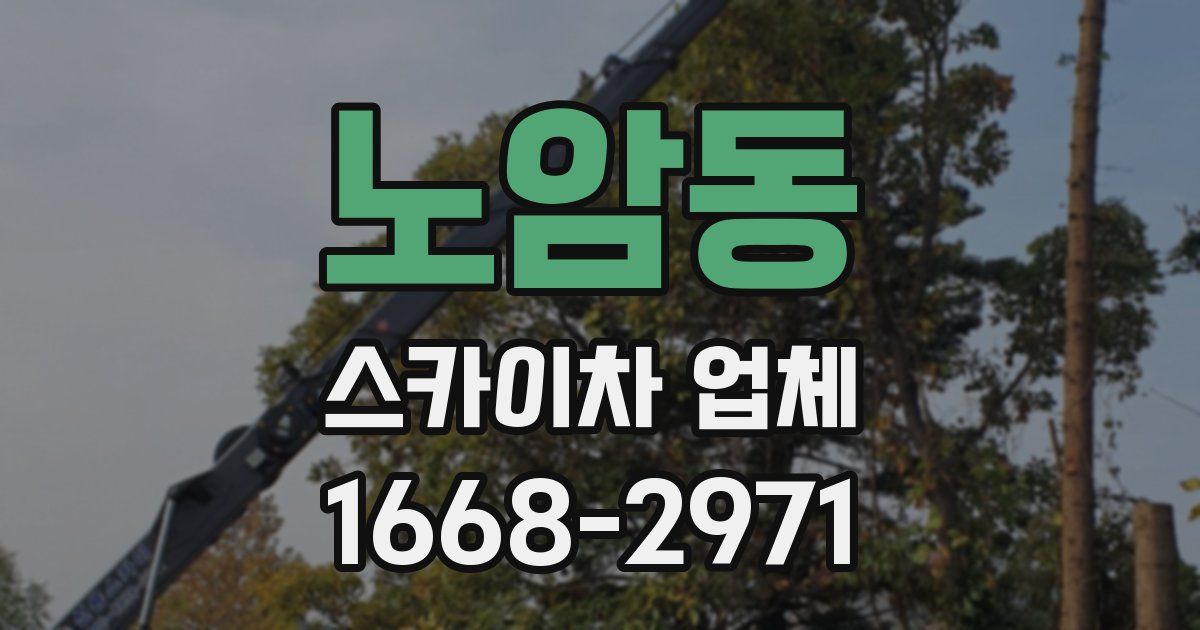 노암동 스카이차 업체