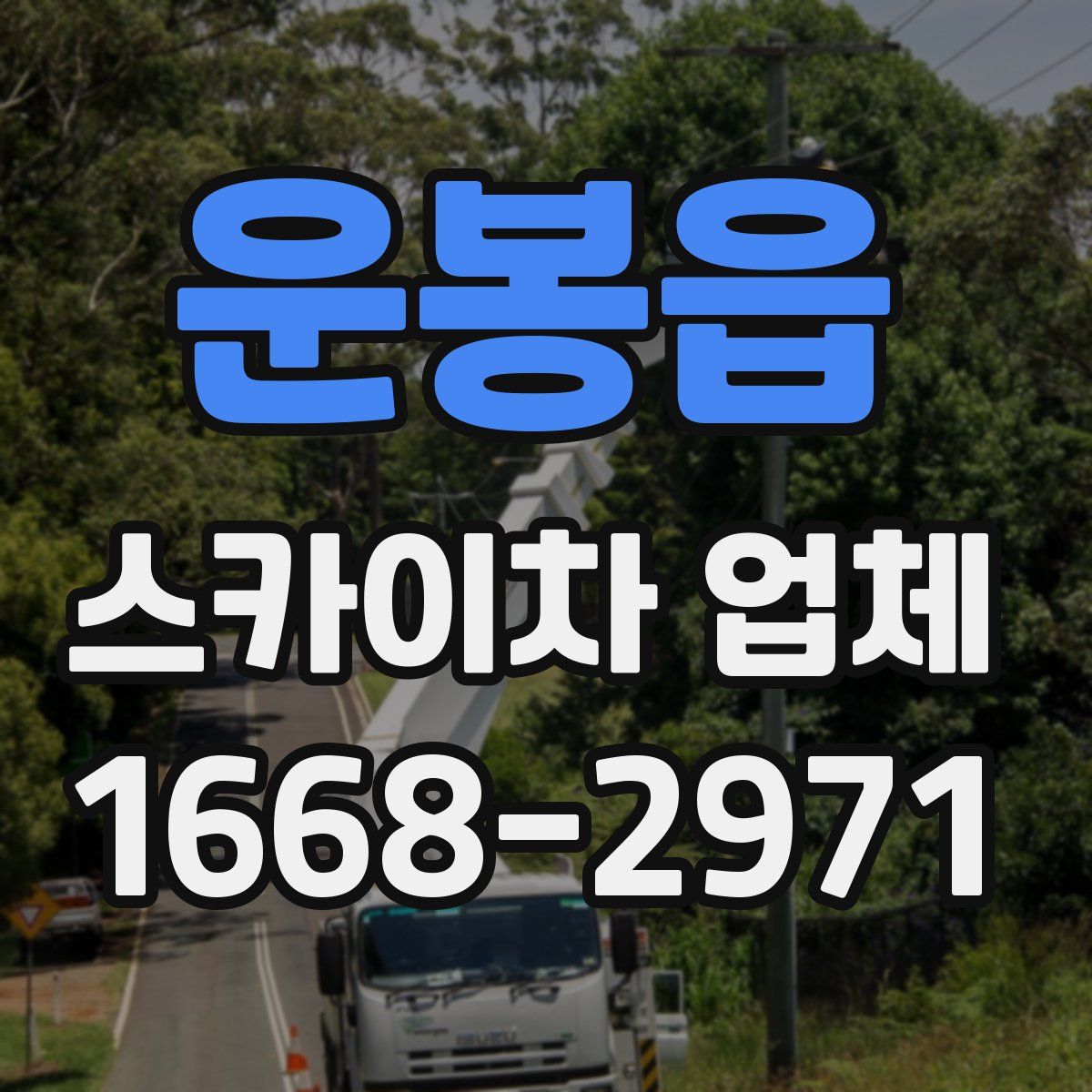 운봉읍 스카이차 업체