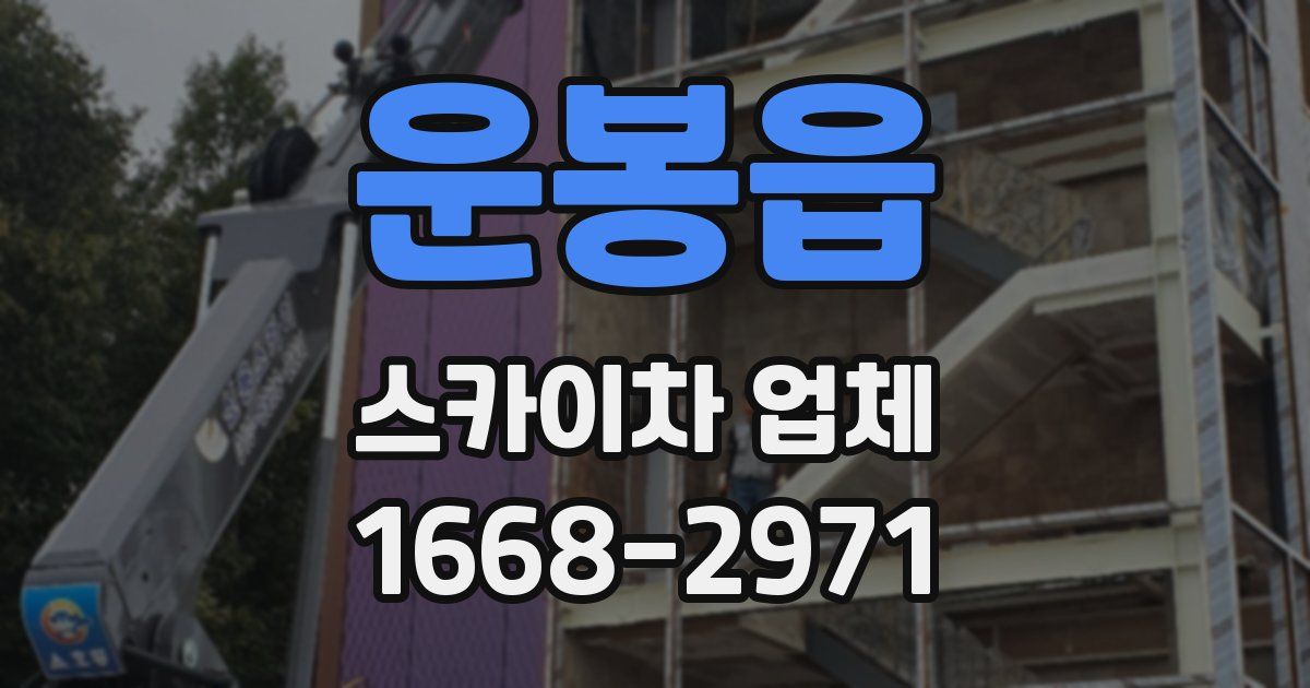 운봉읍 스카이차 업체