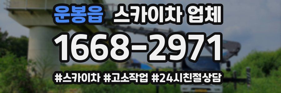운봉읍 스카이차 업체