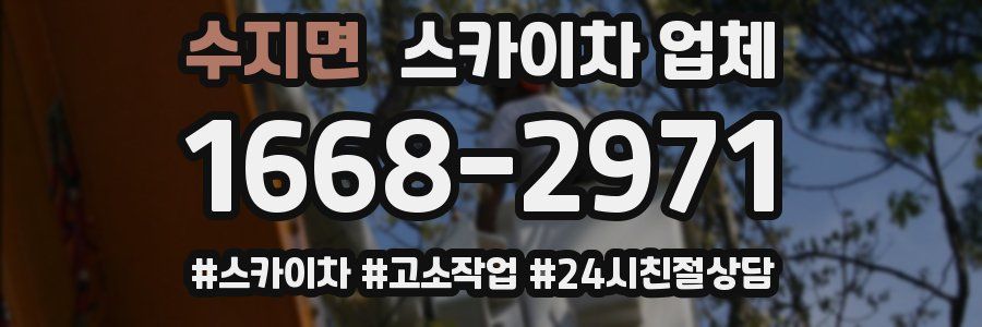 수지면 스카이차 업체