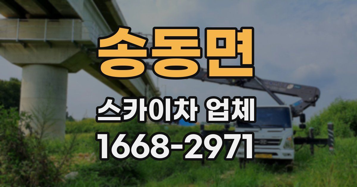 송동면 스카이차 업체