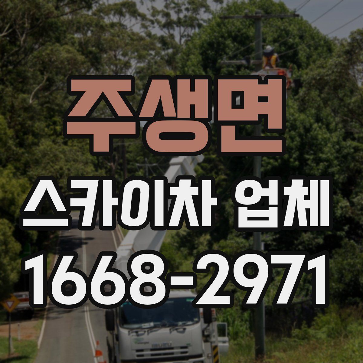 주생면 스카이차 업체