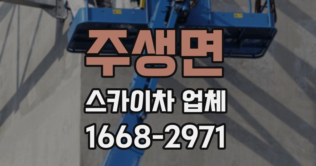 주생면 스카이차 업체